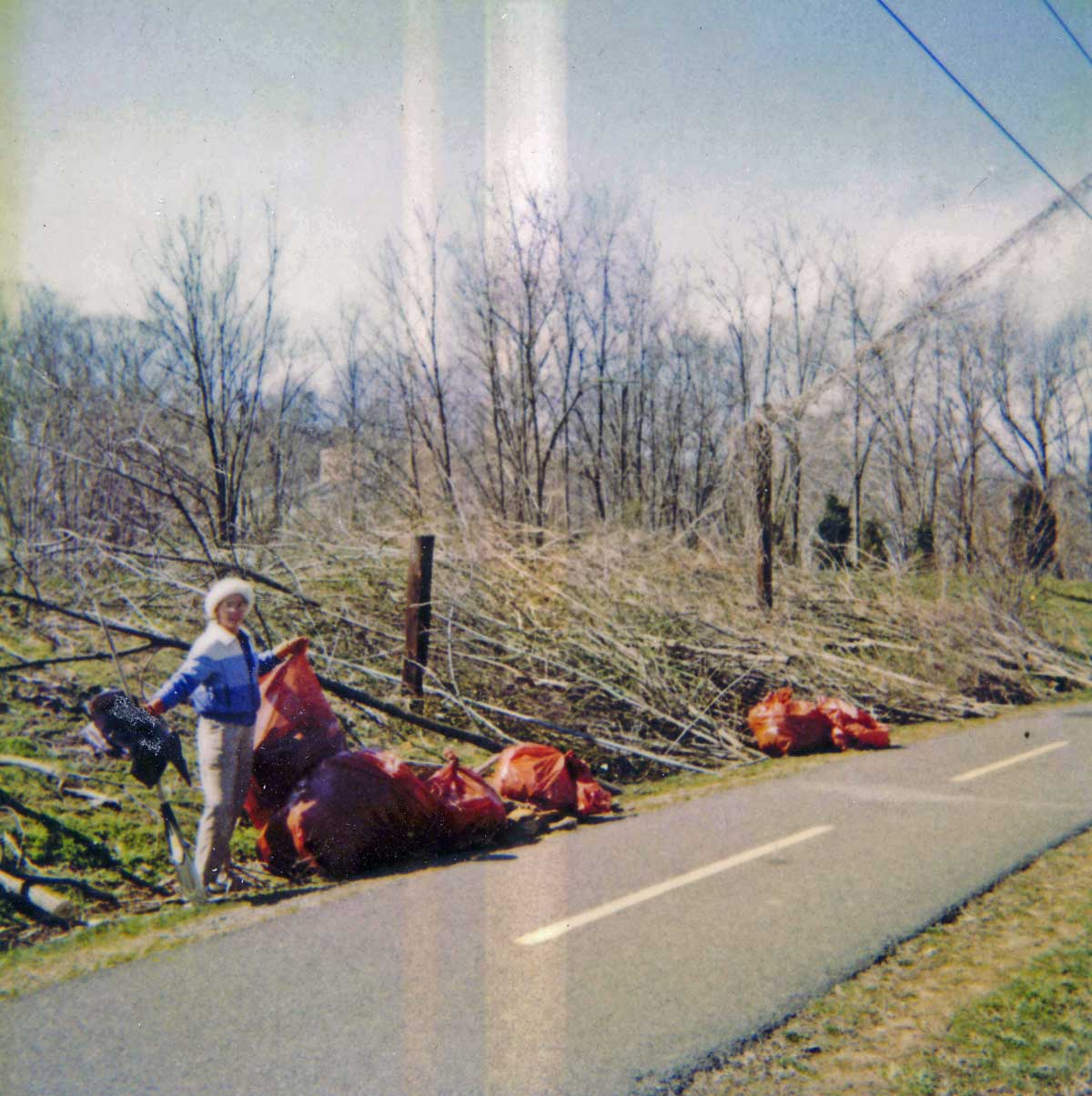 Volunteers removed brush in our park at Columbia Pike